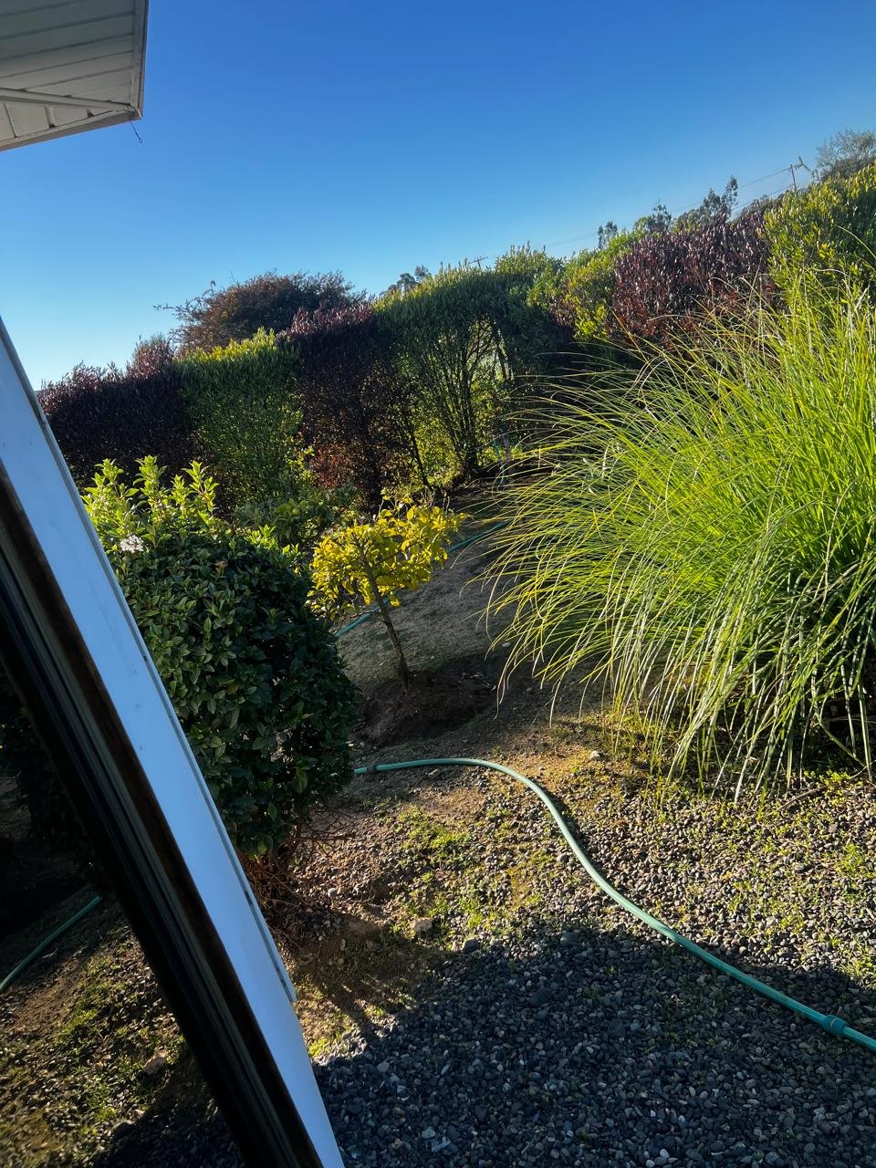 Casas en Santo Domingo (2)